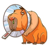 Sticker 24