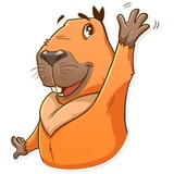 Sticker 5