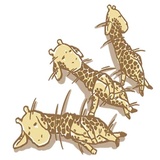 Sticker 22