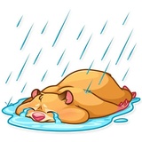 Sticker 19