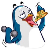 Sticker 24