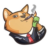 Doge