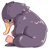 Sticker 13