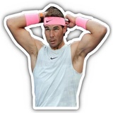 Sticker 25