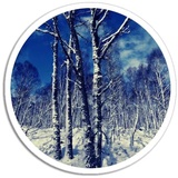 Sticker 33