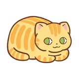Orange Cat