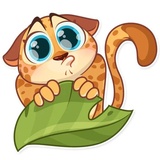 Sticker 9