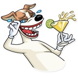 Party Dog