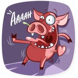 Sticker 11