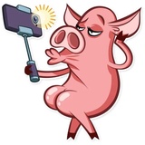 Sticker 6