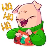 Mr. Piggy