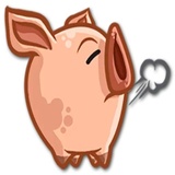 Sticker 13