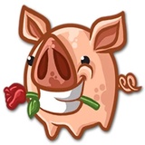 Sticker 16