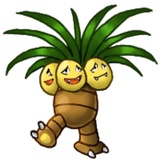 Sticker 107
