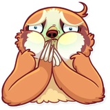 Sticker 31