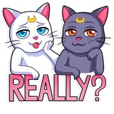 Sticker 8