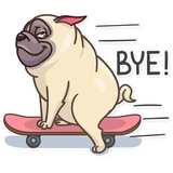 Sticker 20