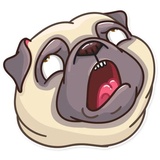 Sticker 25