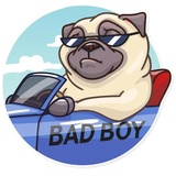 Sticker 26