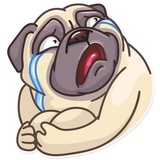 Sticker 29