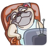 Sticker 35
