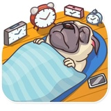 Sticker 8