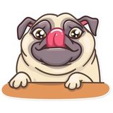 Sticker 9