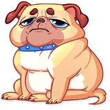 Sticker 11