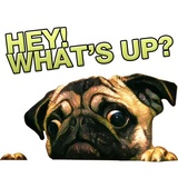 Pugsters sticker pack