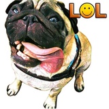 Sticker 2