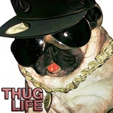 Sticker 34