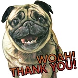 Sticker 41