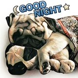 Sticker 5