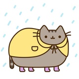 Sticker 31