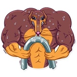 Sticker 14