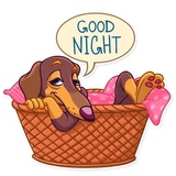 Sticker 15