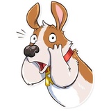 Sticker 13