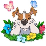 Sticker 35