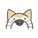 Shiba Inu Memes sticker pack