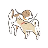 Sticker 30