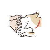 Sticker 31