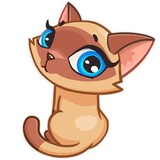 Sticker 12