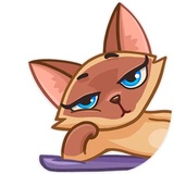 Sticker 16