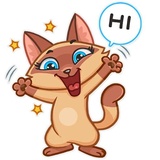 Sticker 5