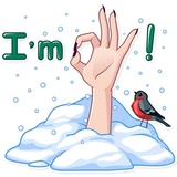 Sticker 17