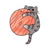 Space Kitties