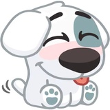 Sticker 13