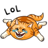 Striped Cat