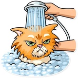 Sticker 22