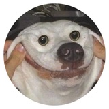 Sticker 15